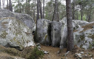 Organisé par Catherine Yvorel : Forêt de Fontainebleau 18 km