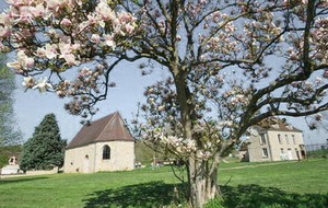 Organisée par Liliane : Soucy 15 km