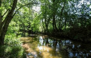 Organisée par Danielle et MC2 - La Vallée de l'Eclimont - Abbeville la Rivière 16 KM