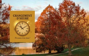 Organisée par Agnès, Liliane et Chantal K : Sonchamp : 17 km