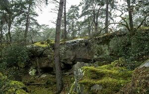 Organisé par Janine : Rochers Fourceau-Bouligny-Avon 14 km