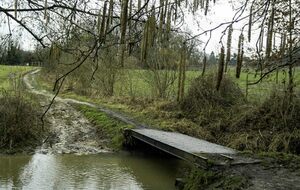 Organisée par Chantal Planelles et Harré :  Saint Chéron 17 km