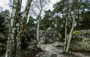 Organisée par Michel Lesage, Egly : Moulin de Trévoix, 15 km