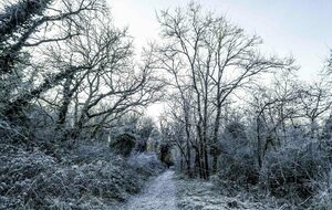 Organisée par Danielle et Joel: Valpuiseaux 14 km