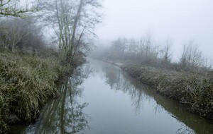 Organisée par Catherine YVOREL : Forges-les-Bains 19 km