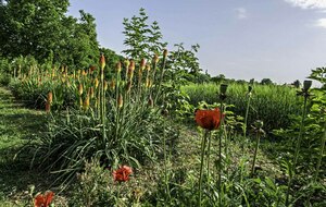 Organisée par Sylvie et Isabelle : Bures sur Yvette, 18km.