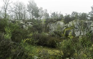 Organisée par Janine : Videlles 16 Km.