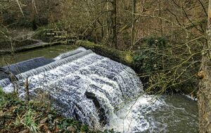 Organisée par Agnès et Liliane, La Celle-les-Bordes : 18 km