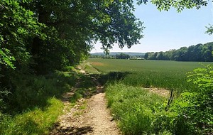 Randonnette. Organisée par Ghislaine &amp; André. Boissy sous St Yon 8 km
