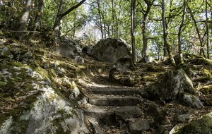Organisée par Janine : Cheptainville. 14 Km