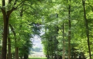 Organisée par Catherine Yvorel : Bruyères le Châtel , 19 km