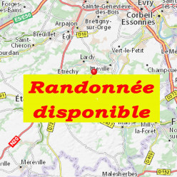 Rando disponible.